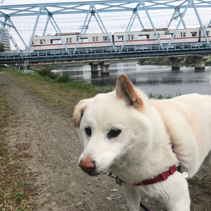 645e3fbe 21f1 48ae 92f1 cc8021e057e4 1523406279719