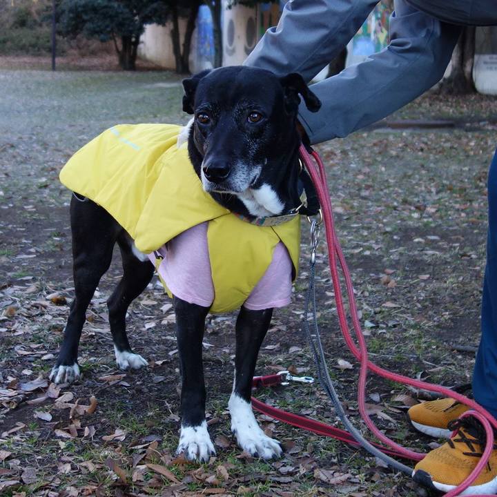 645ebaf6 c521 4271 97f0 2e73f4d1bb46 1738198103882