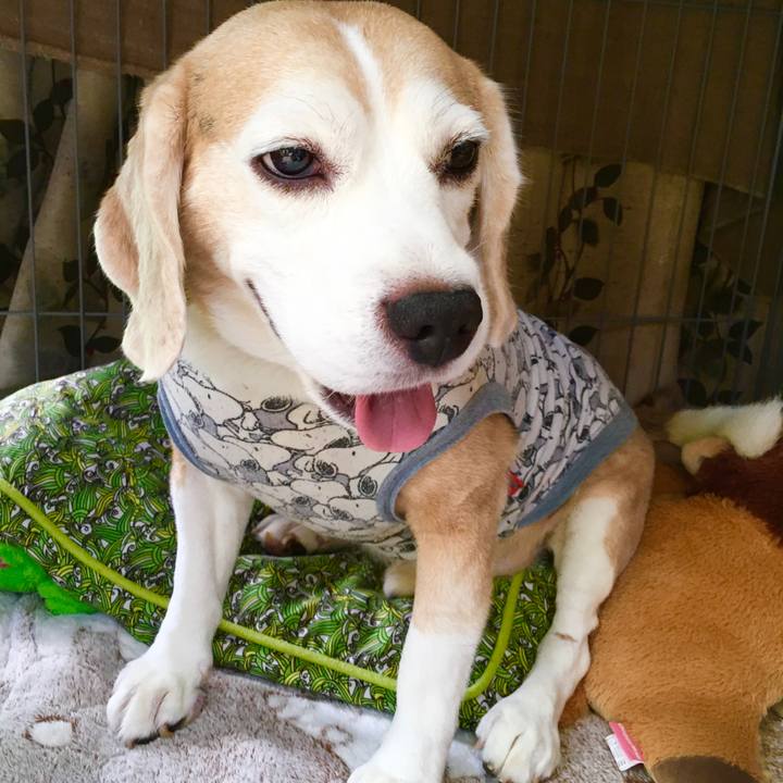 645ed17a 1037 4a9f a213 bd68777948d4 1569817460096