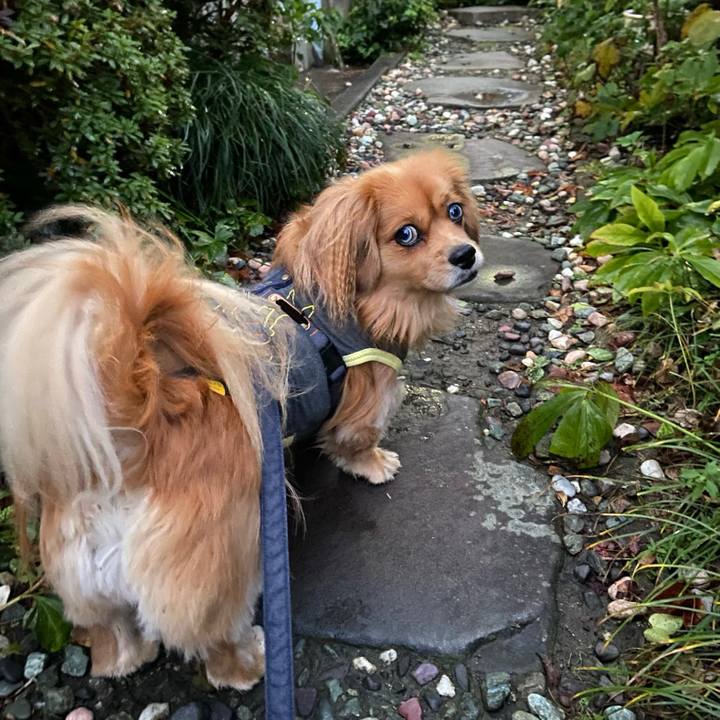 645eeea7 4f66 4850 85b9 d647c1bdbacd 1577052837541