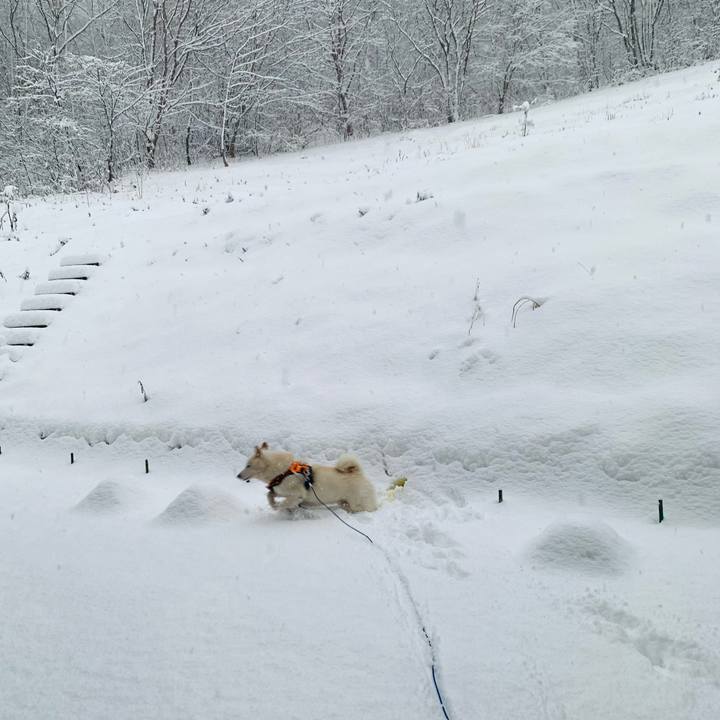 645f0235 175e 431f 8665 477b76048554 1639700520281