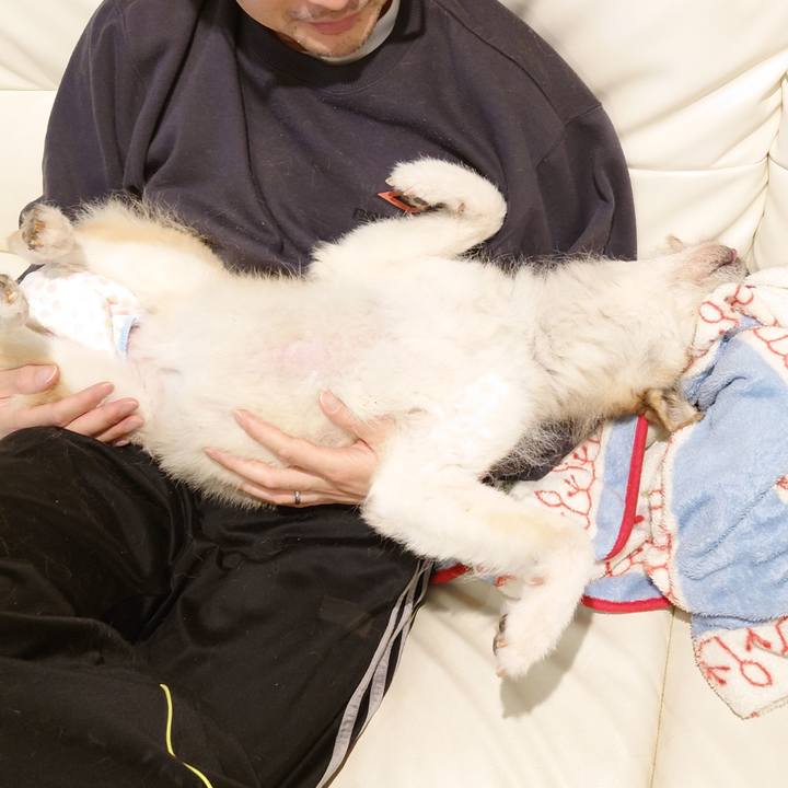 645f18b3 5e40 4dc6 be78 8293c5b6f152 1654609288133