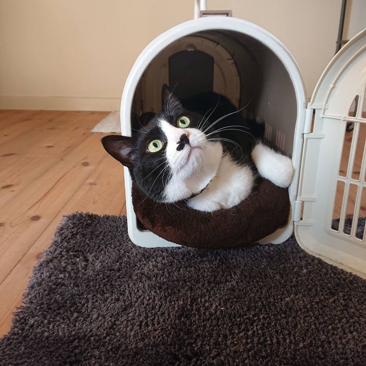 645f32b4 d58d 480b 8203 2d77c42d616b 1610600235514