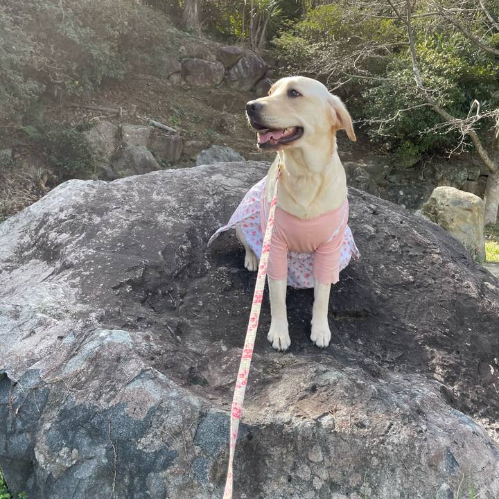 645f35ba b18d 491b bf25 219389aac901 1646447506135