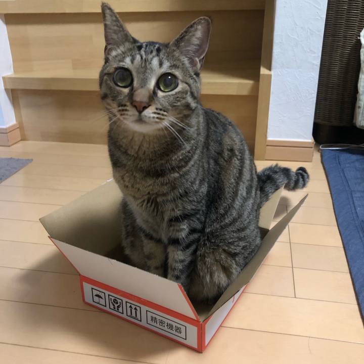 645f51bc 4d2e 4afe 970a 4aeb3891318a 1629730648329