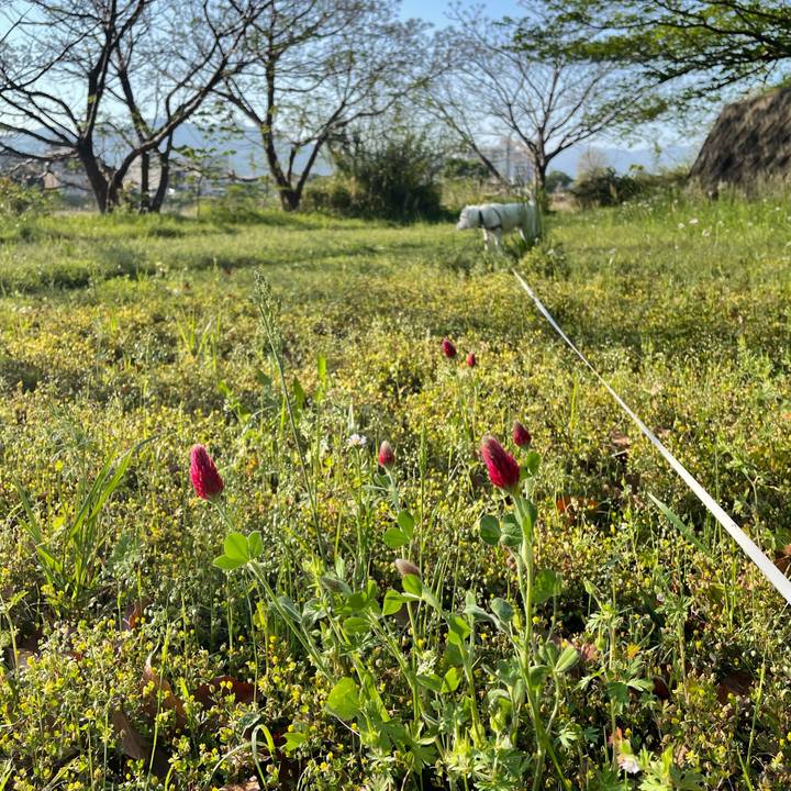 645f621a c039 41a0 a58b ec581449cffc 1745620532694