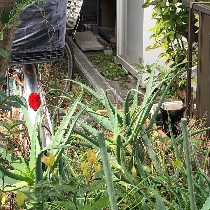 645f91dd 4790 4757 ae28 db21a567c8b4 1584631050495