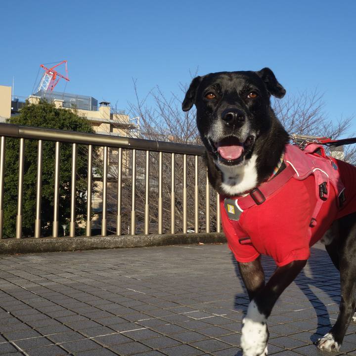 645fa800 35e2 4882 a5ea 9fff74b5cd8c 1702436846053