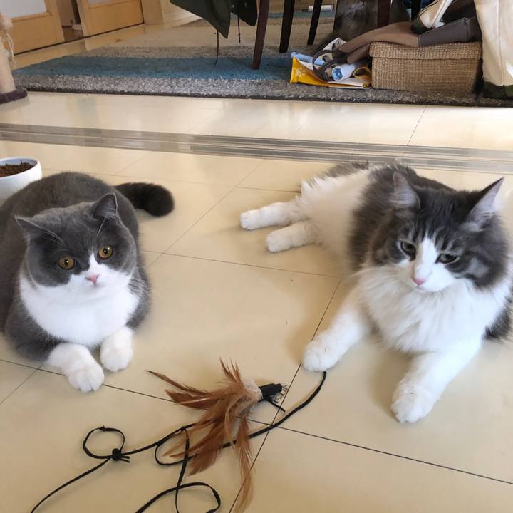 645fc77d a6dc 481a 914e dae884f80a61 1550370201223