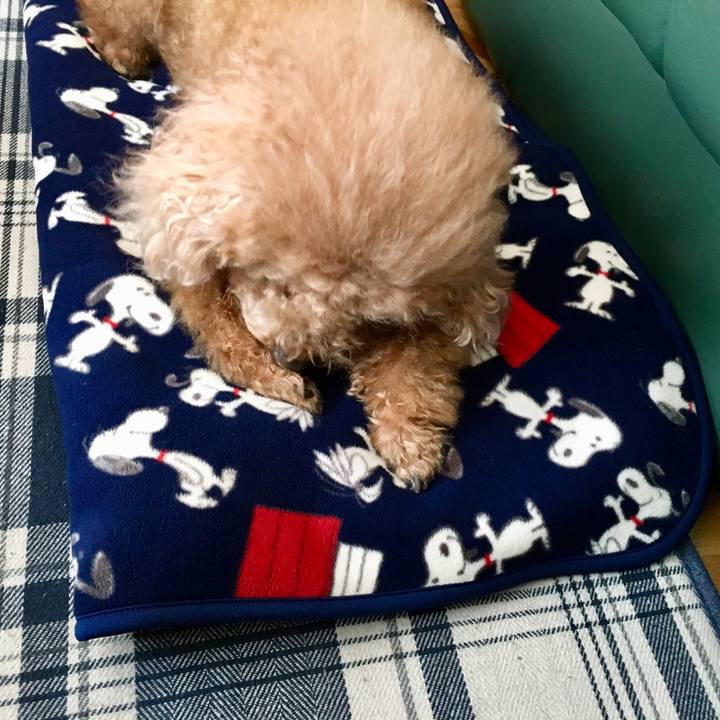 645fd80f 2c4d 4dab aea2 010102d7b299 1515898633962