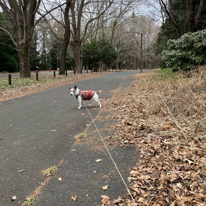 646015d8 a7b9 4b4e a29c 1f56541dd73a 1678231464848