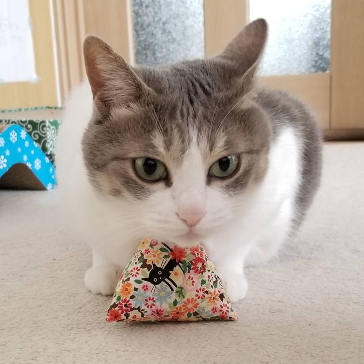 646037f7 ed7e 44b1 8ac5 c42f374ebfc5 1617710080816