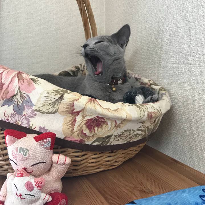 64604c14 fdc0 4268 a72d 158f8641a4f0 1520690772907