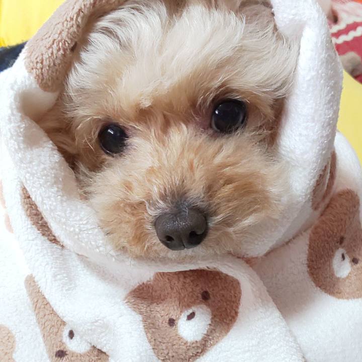 64609a08 1a62 4e03 afb2 ee6e3d6b2bcf 1678775387424