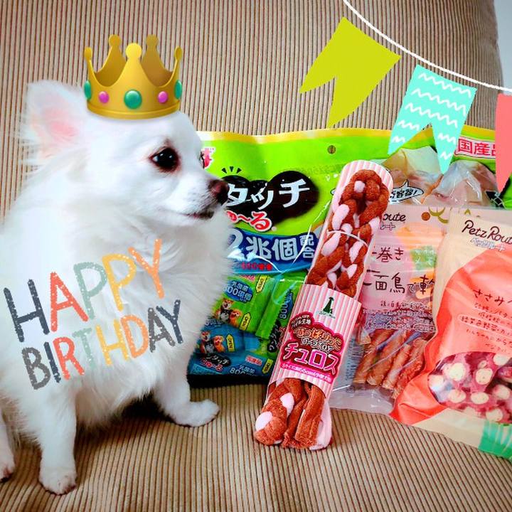 6460a2ac 2626 47a5 a1a4 9cdbe8558b48 1611542031907