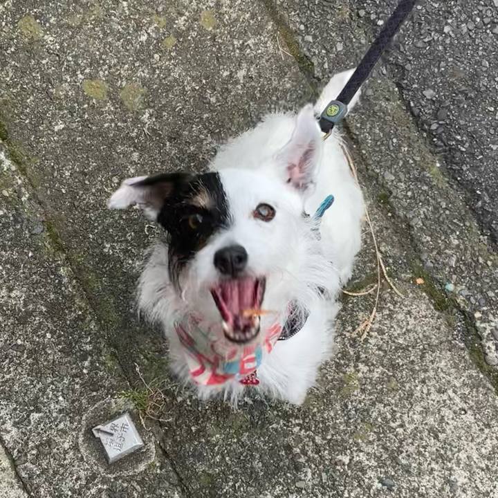 6460a71f b443 40ed 81af dc74a99f3fa3 1687653146096