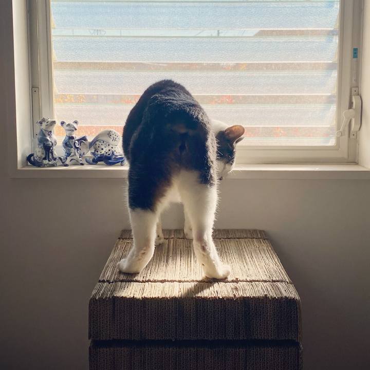 6460a729 06bb 46ac 9b3a ba1245d6f135 1639351267457