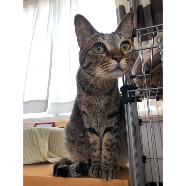 6460aaea bf49 4809 acd1 ed3b8864116b 1620097827161