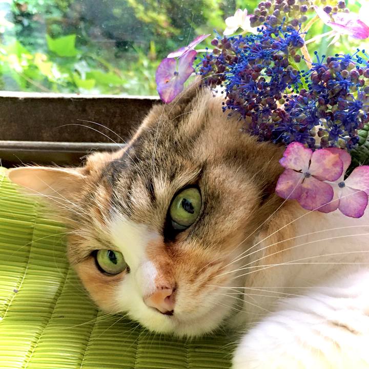 6460ca70 24fe 4d55 a0ce 0699474004b1 1595219708809