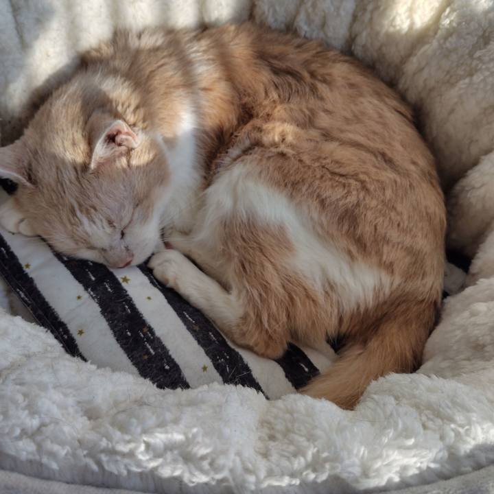 6461158a d7a4 453f 8169 4dd956345f04 1727678855873