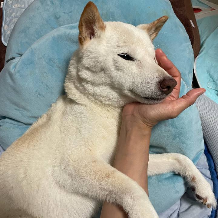 6461706a cf03 4d0c 8713 a8db3787edf0 1656314029739