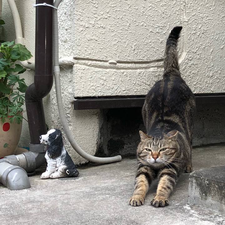 646176a5 22ba 4ff7 8d48 6fcffdf8911f 1524067218807