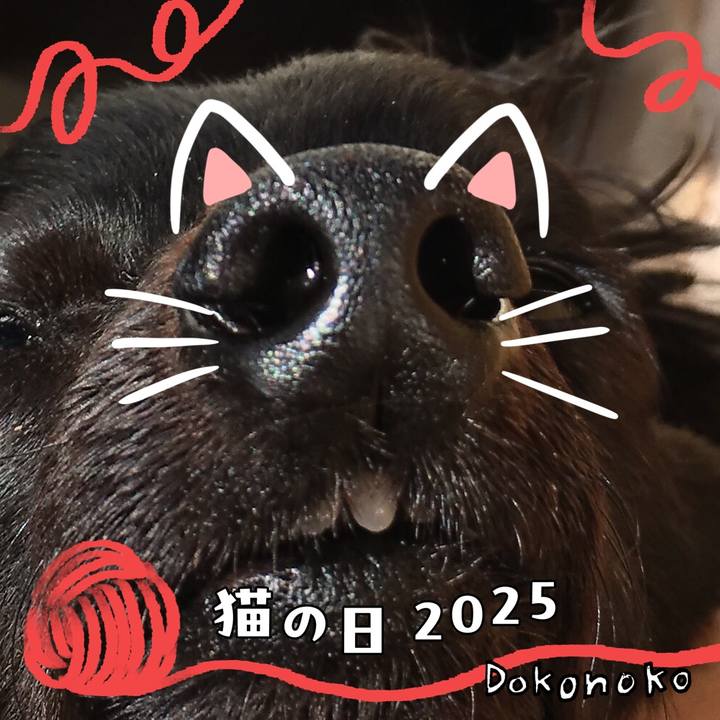 6461ccff 7a52 4237 827a 78664fdacdf0 1740229762432