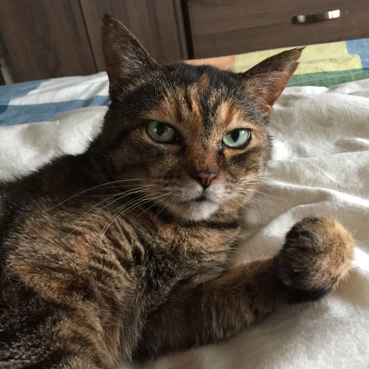 6461d466 4892 4cd0 9670 ac55d0773498 1593515498986