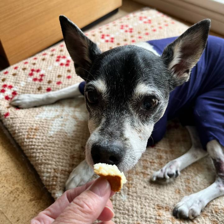 6461fa5b 8679 4c5e 92bd b3da646a67e4 1647767144909