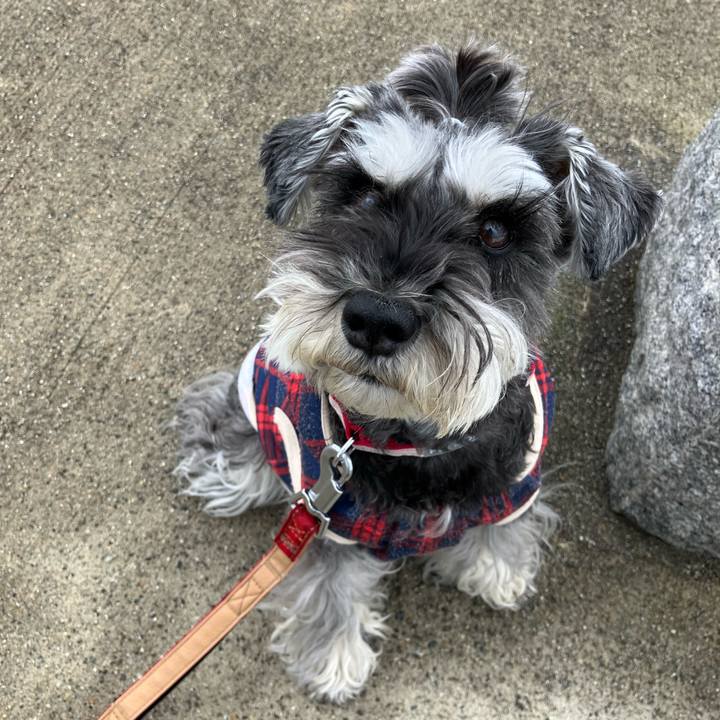 64620c45 847a 4546 a795 01affdb9d2fa 1739435732890