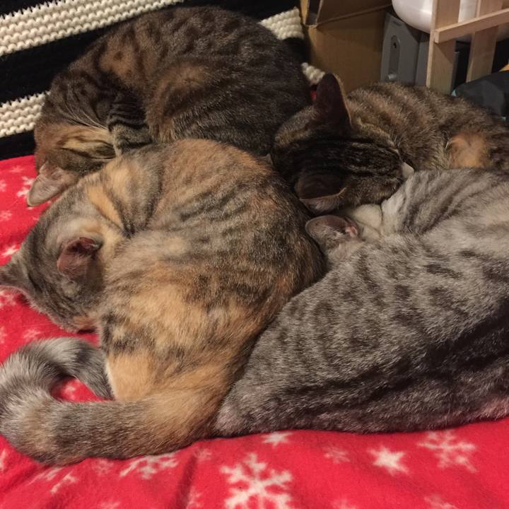 64623671 32a8 4959 9d1b 30e212394bb0 1574771956464