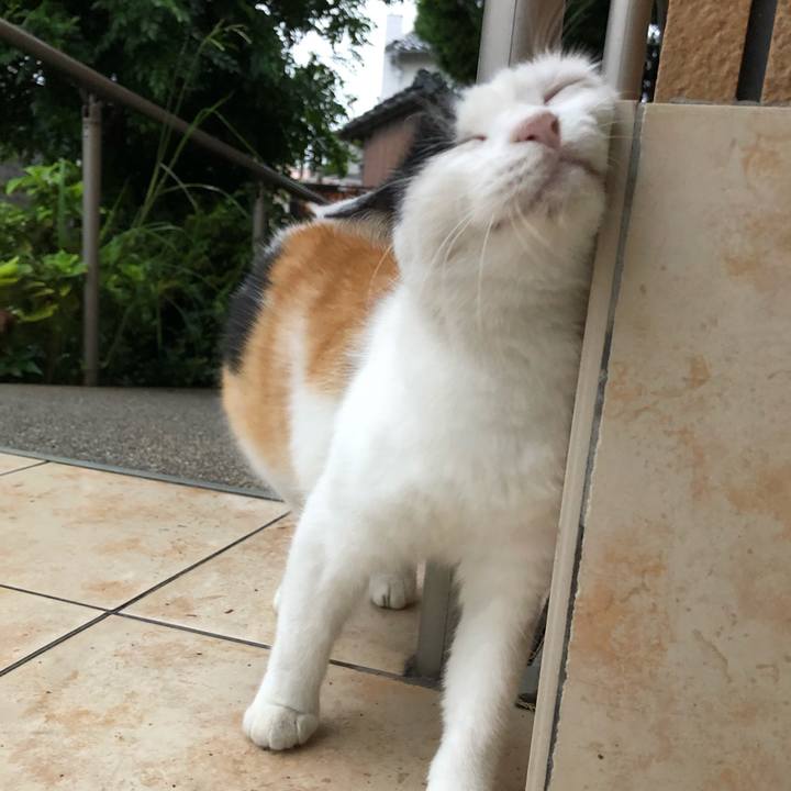 64623788 b82d 44df 8dea 11808376aa8e 1600380756677