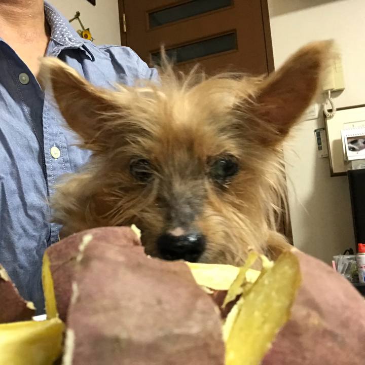 64623e50 2786 42c0 8775 a904feab3698 1507873021299