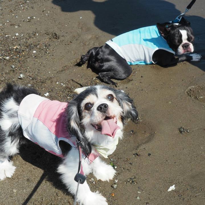 64629931 67b0 409f 829d b3b61c05d839 1538883832778