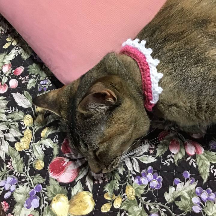 6462d42f 07c7 4b61 9519 d221c04f4c4e 1592789788203