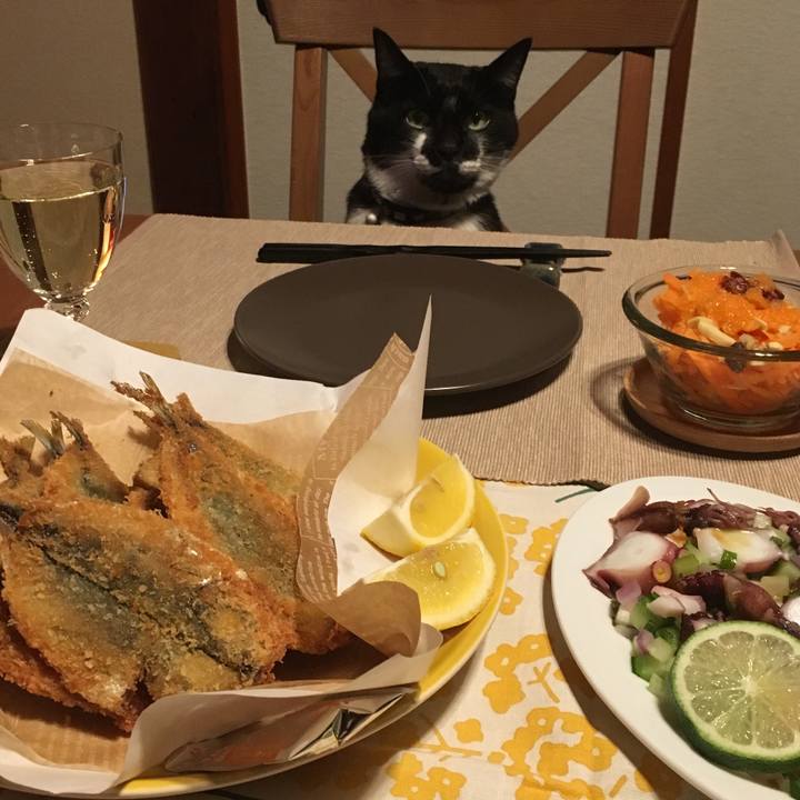 64636611 b58c 49ce baed a16c694f7a0d 1521280349992