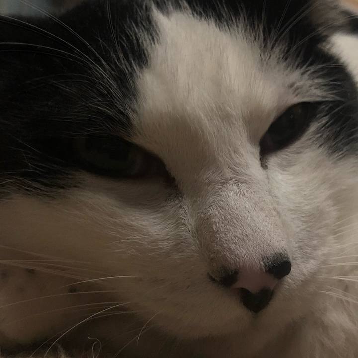 64636dec ad4a 4617 9366 055b75168700 1612780883401