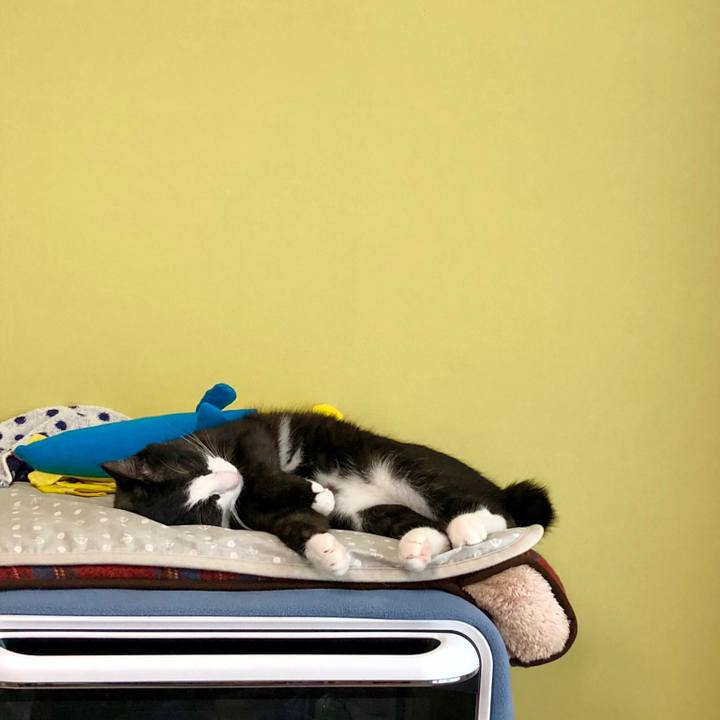 646390be 64ca 4534 9dc3 4af283aac493 1534729720316