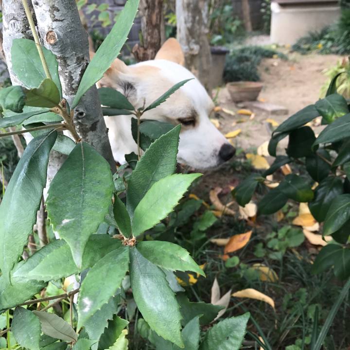 6463de23 8a41 412e aad5 17b14bea74dd 1511090266746