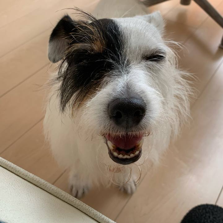 6463f51e 47a7 43a0 8a1c 5f6c3f46f6bb 1658891901823