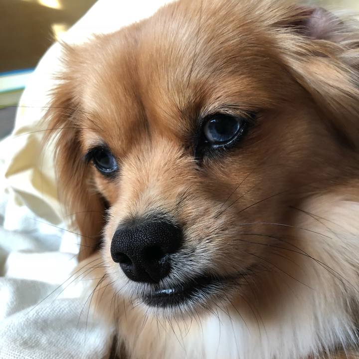 6463f737 aa89 4afb 8d41 7f0b9d55fb4a 1521326806676