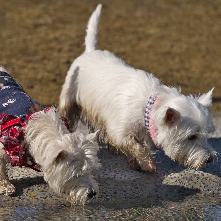 64640289 79a1 4120 bf48 a4ca2b28caff 1515329696961