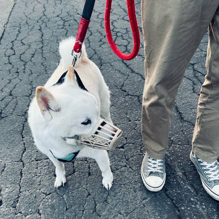 646406d5 e678 464c 851b 53005baf80a1 1697233902134