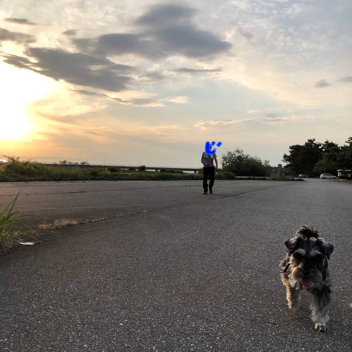 64641533 e18c 40c7 9d58 00170be8ee07 1621091360286