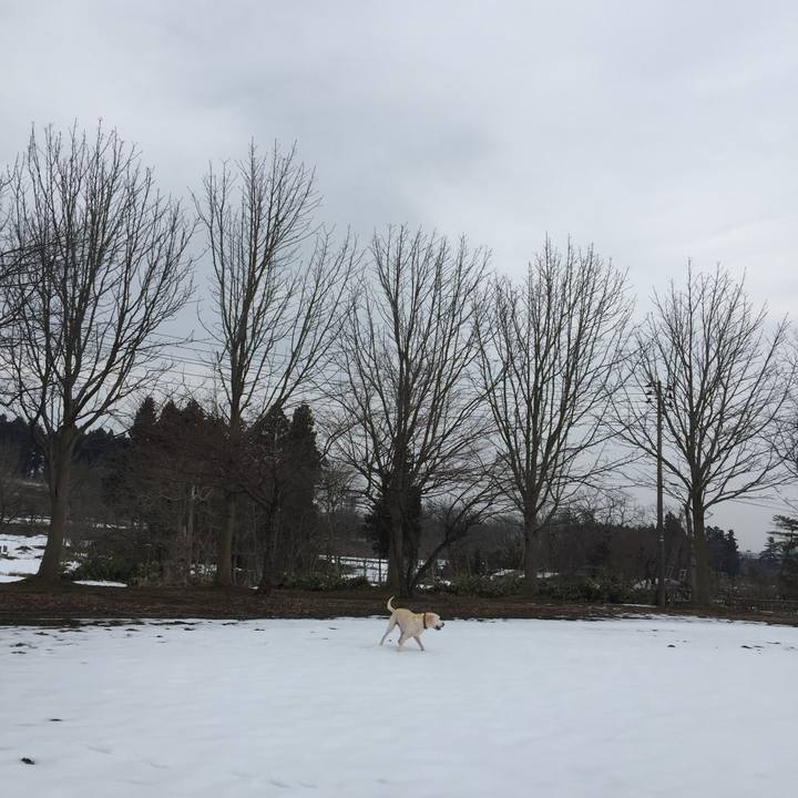 64643a13 0624 4fe6 b015 07a088f7d499 1554180814287