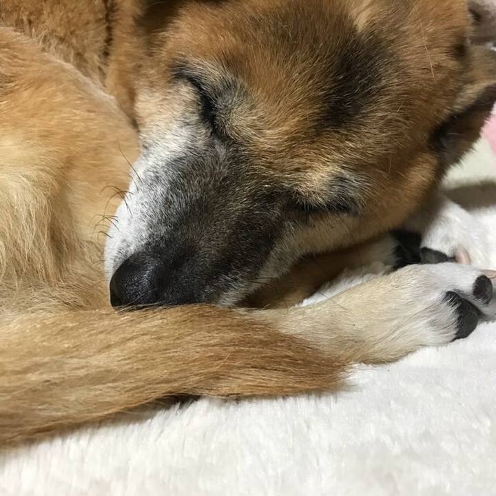 64644642 58b4 4503 ab82 97a61703c87f 1543242389307