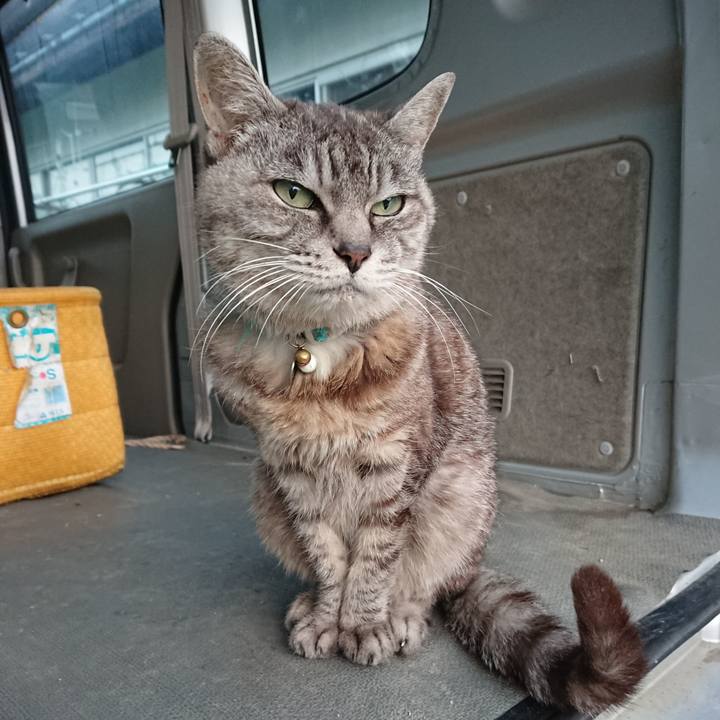 64647f43 b12d 422b 88e2 c6c95543107e 1569963230532