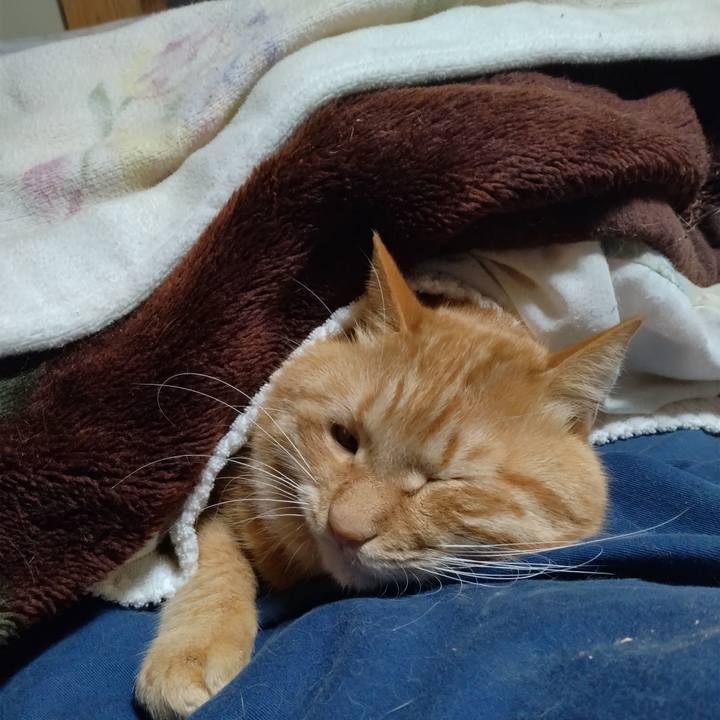 6464ba74 2802 487a bcb7 12bb0d926a65 1704887230867