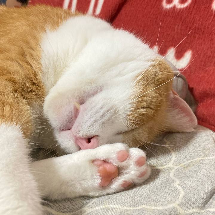 6464c5af 972e 47c4 bbd6 f64873424025 1765549077527