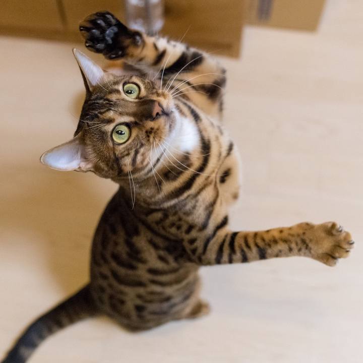 6464cf33 a836 4ac1 a281 301d67449f11 1520564482328